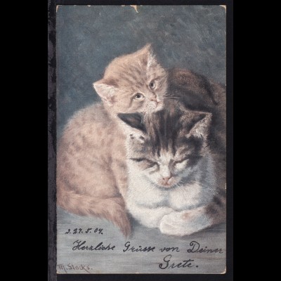 2 Katzen, 1904 